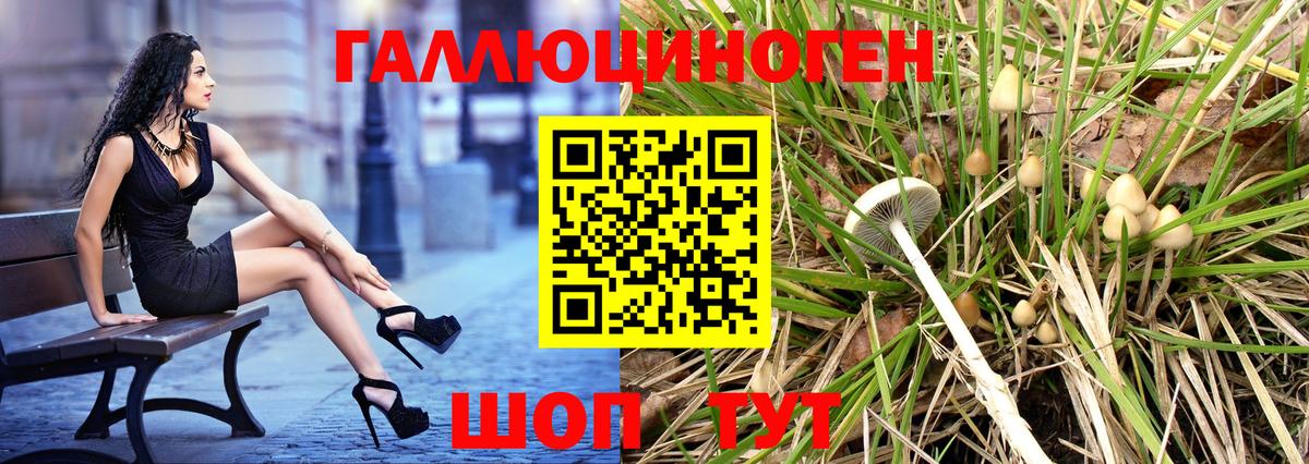 Псилоцибиновые грибы Psilocybine cubensis  Галлюциногенные грибы мицелий  где купить наркоту  Раменское 