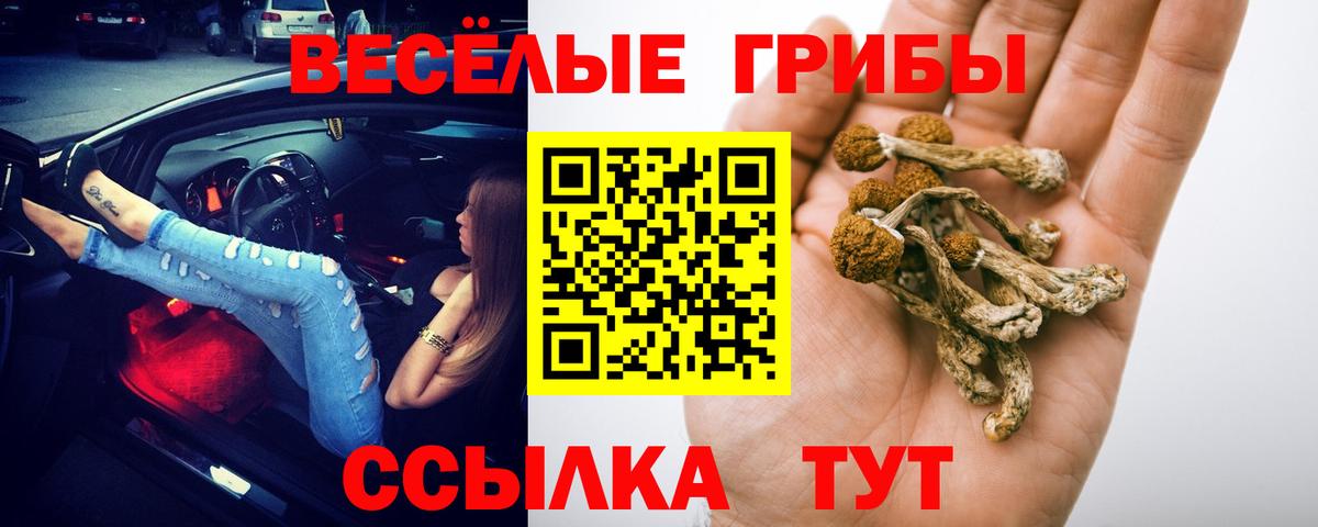 Псилоцибиновые грибы GOLDEN TEACHER Раменское